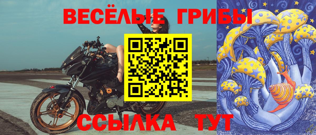 Галлюциногенные грибы ЛСД  Галлюциногенные грибы мицелий  Вход с VPN  Кирово-Чепецк 
